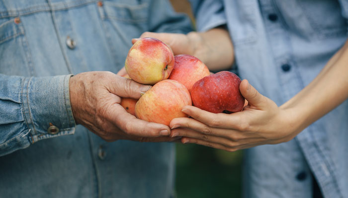 Ешьте продукты с высоким содержанием железа